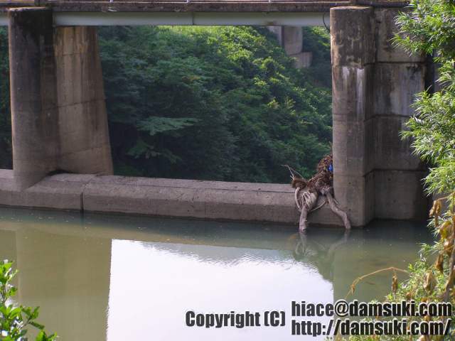 ʿ18ǯ812  1513ʬ